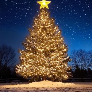 夜空中的圣诞树