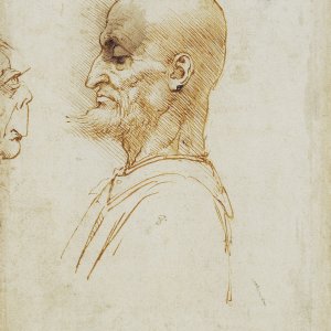 Leonardo da Vinci (03)