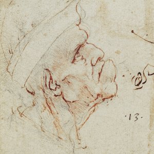 Leonardo da Vinci (08)