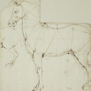 Leonardo da Vinci (09)