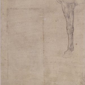 Leonardo da Vinci (10)