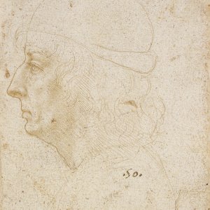 Leonardo da Vinci (14) -