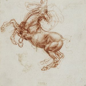 Leonardo da Vinci (15) -