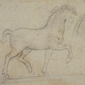 Leonardo da Vinci (17) -