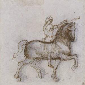 Leonardo da Vinci (18) -