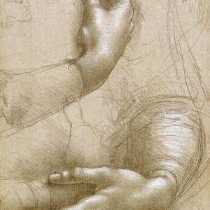 Leonardo da Vinci (19) -