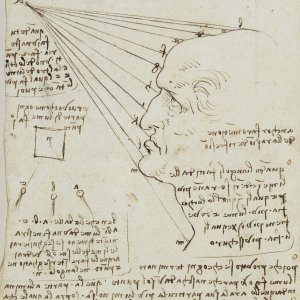 Leonardo da Vinci (20)