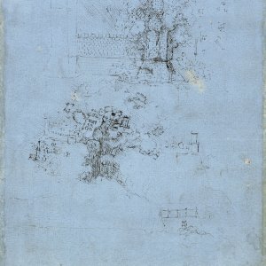 Leonardo da Vinci (21)