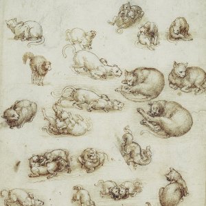 Leonardo da Vinci (22) -