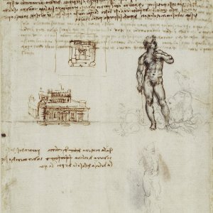 Leonardo da Vinci (23) -