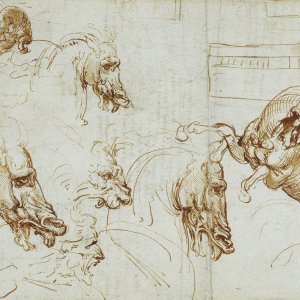 Leonardo da Vinci (24)