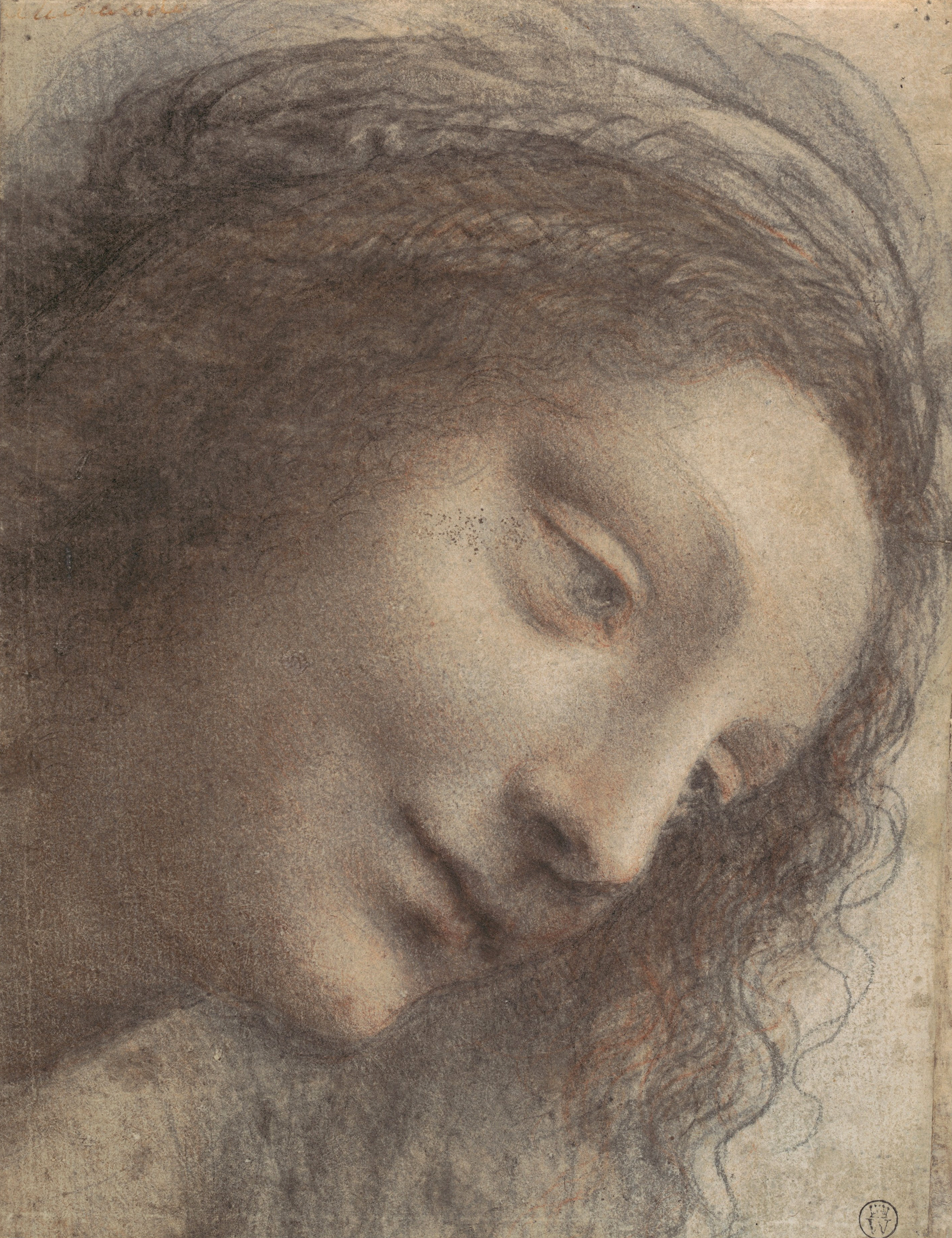 Leonardo da Vinci (01）