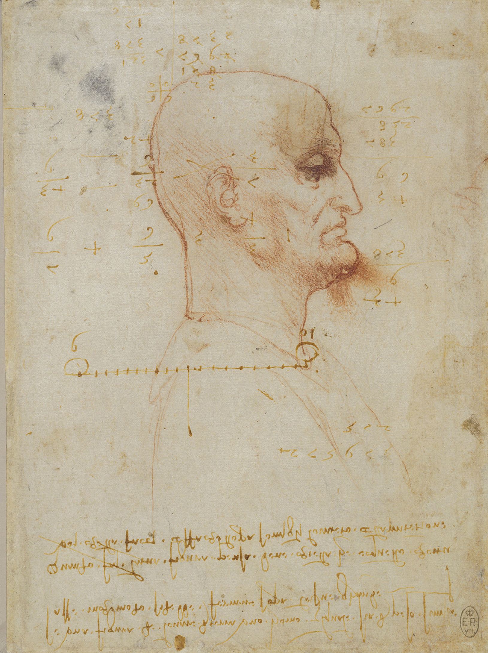 Leonardo da Vinci (04) -