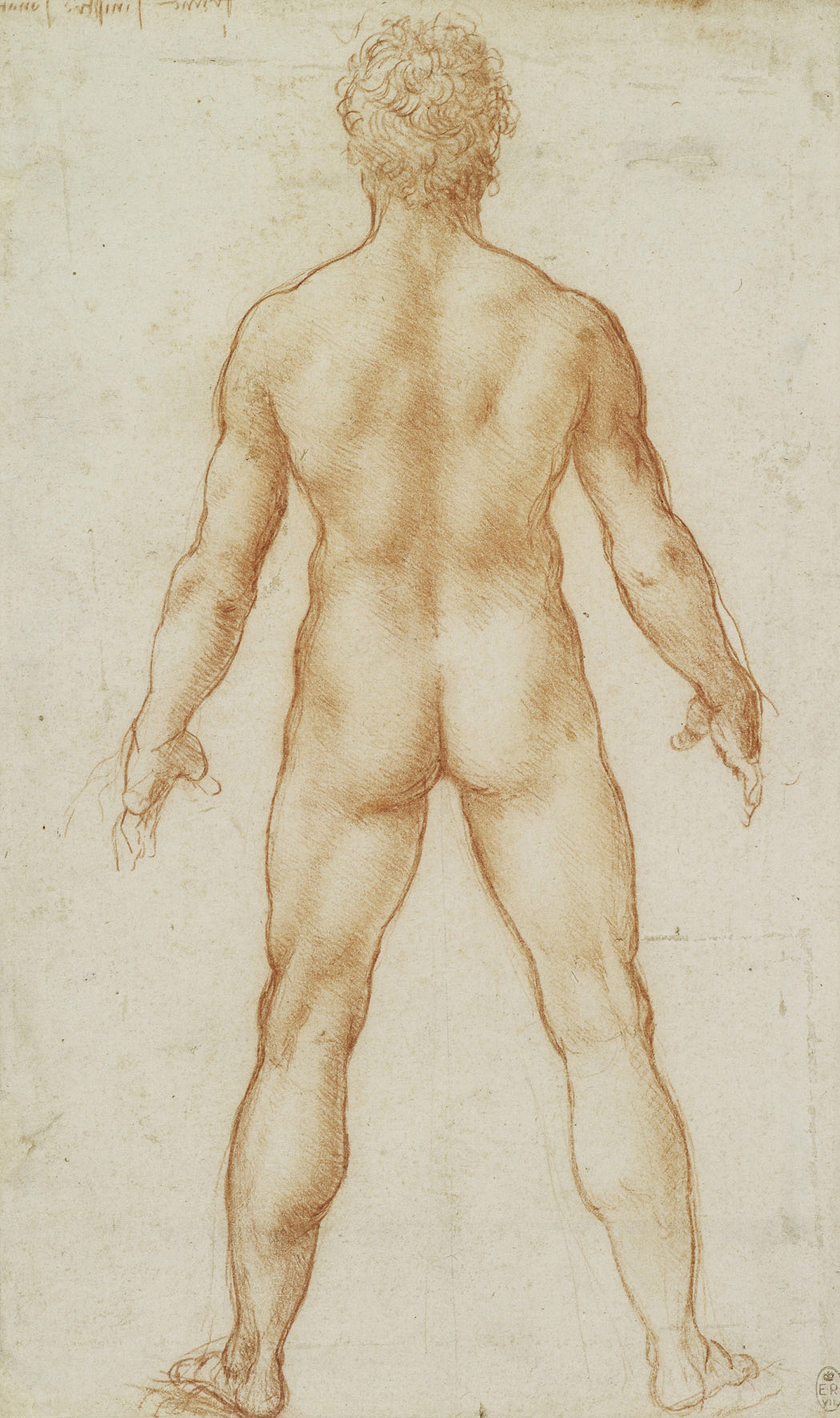 Leonardo da Vinci (11) -