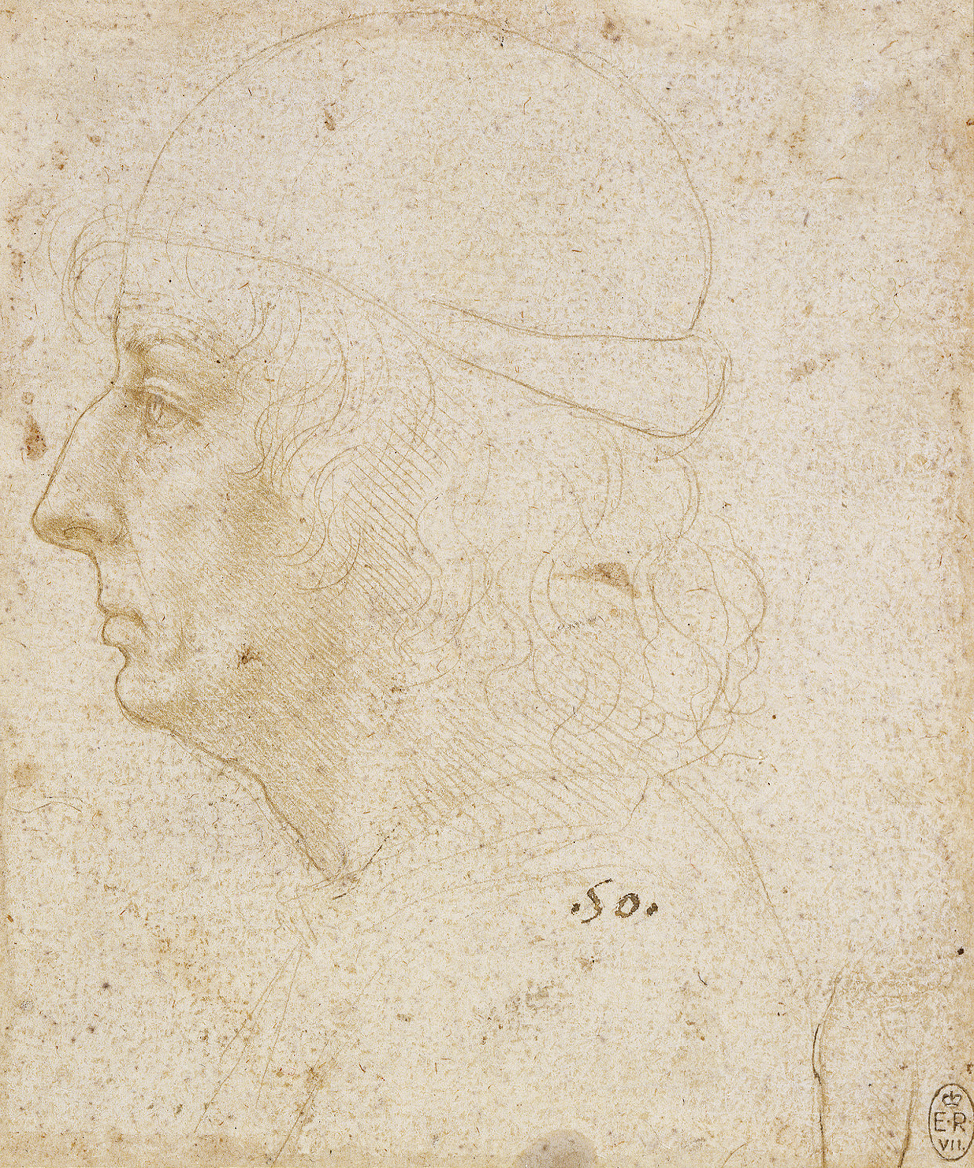 Leonardo da Vinci (14) -