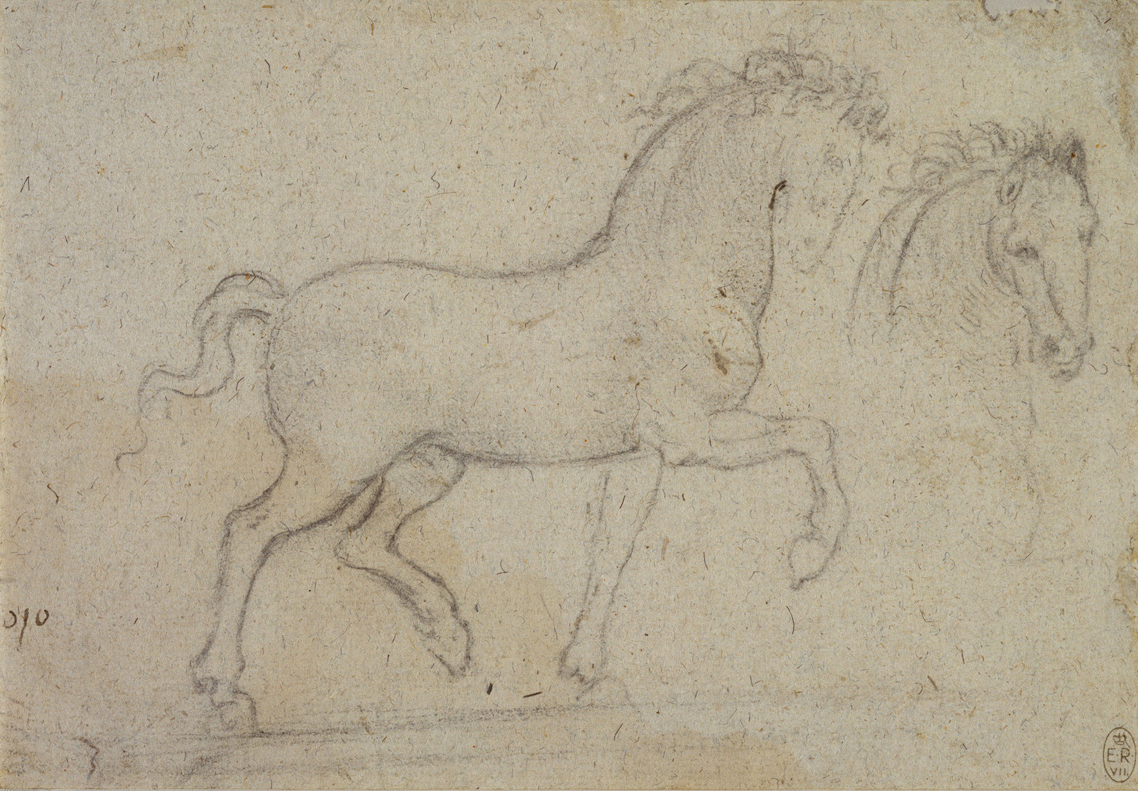 Leonardo da Vinci (17)