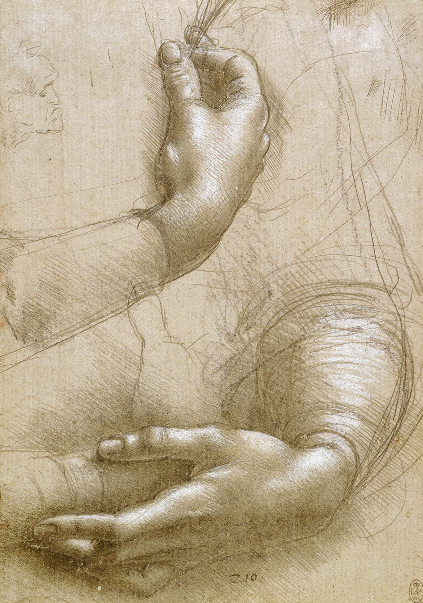 Leonardo da Vinci (19)
