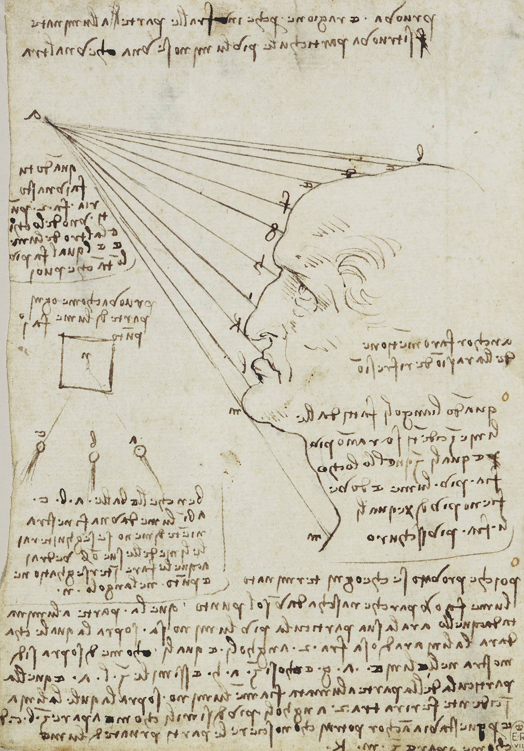 Leonardo da Vinci (20)
