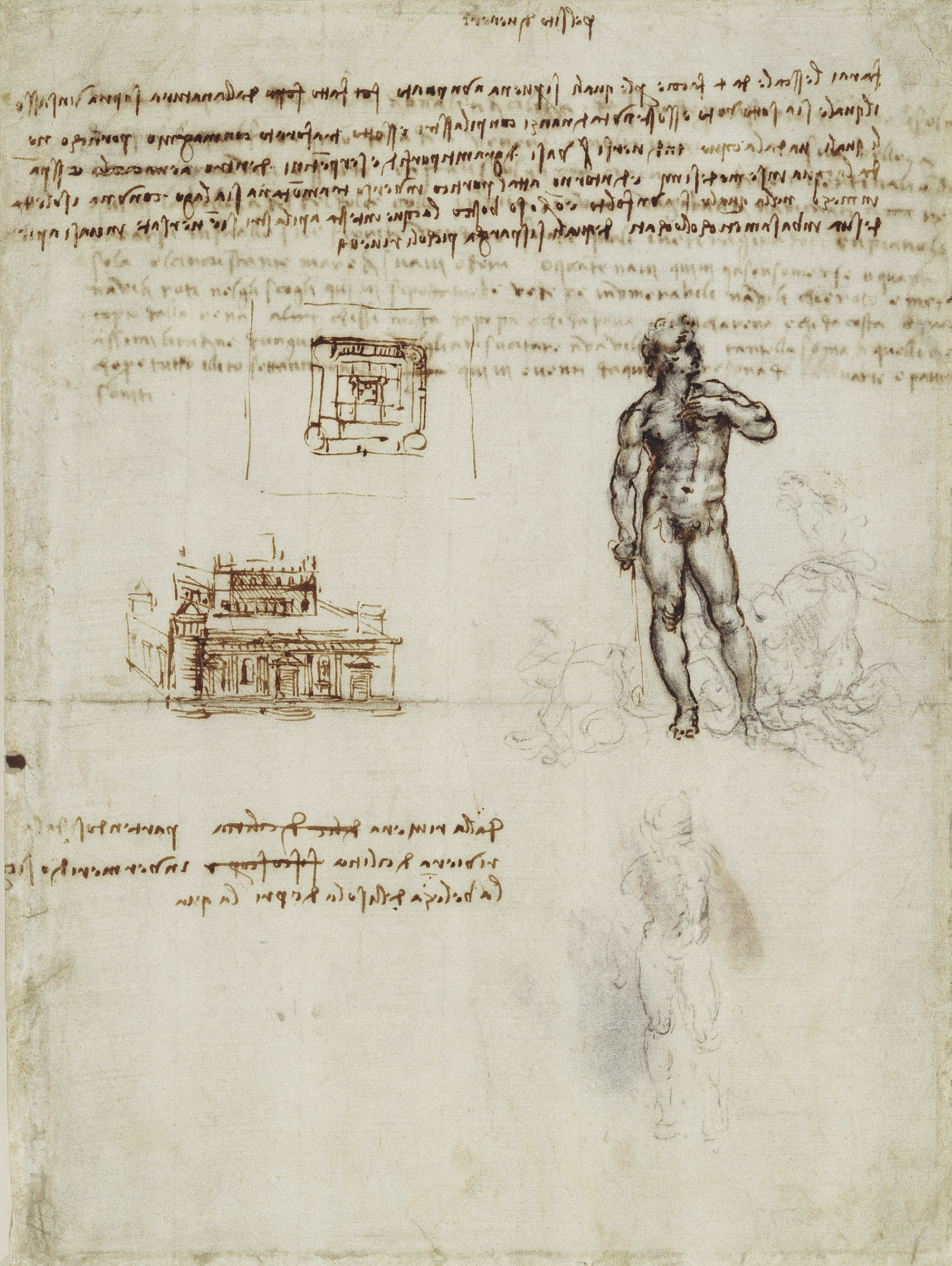 Leonardo da Vinci (23)